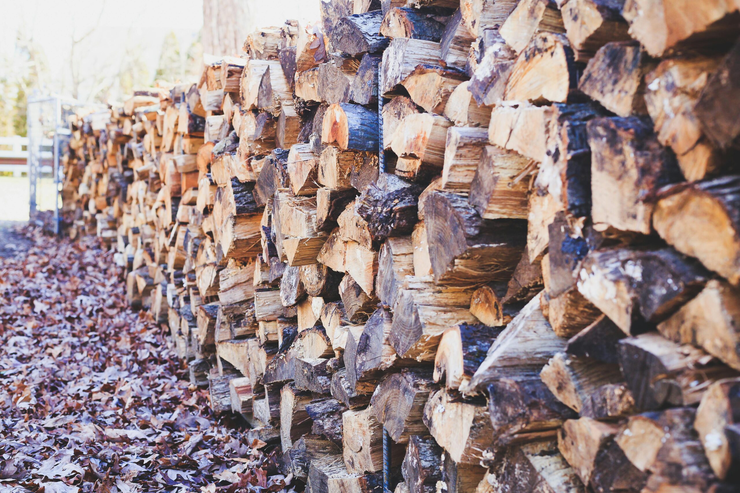 A close-up of stacked firewood on a leaf-covered ground, showcasing texture and outdoor ambiance.
